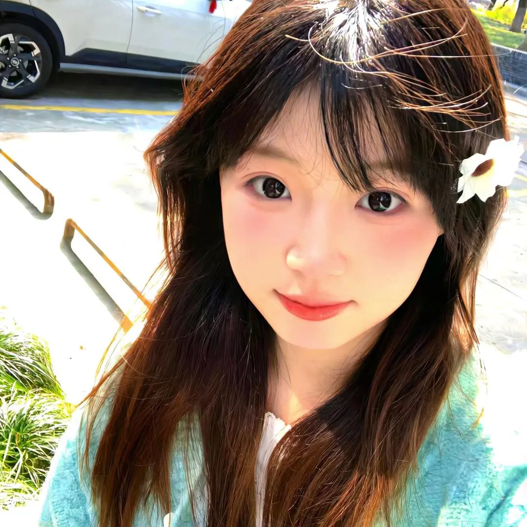 燕子与鹦鹉